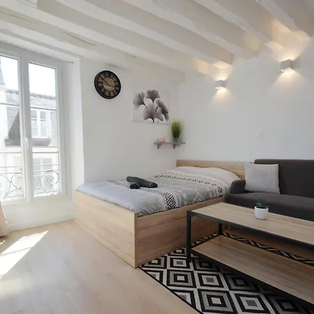 Le Petit France - Hyper Centre De Fontainebleau - Proche Insead Apartment Exterior photo