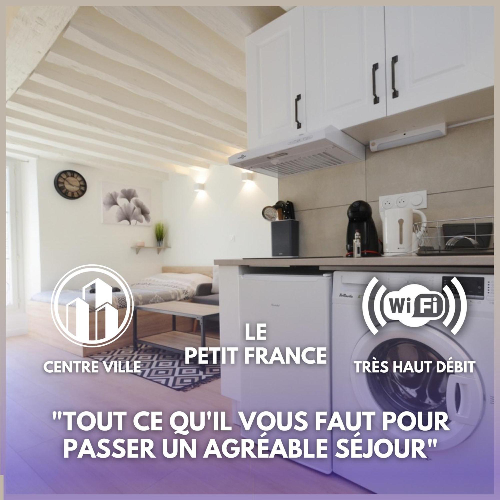 Le Petit France - Hyper Centre De - Proche Insead Apartment